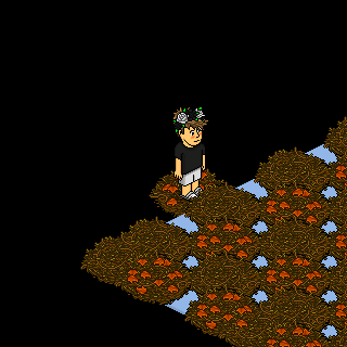 Photo by jymw_