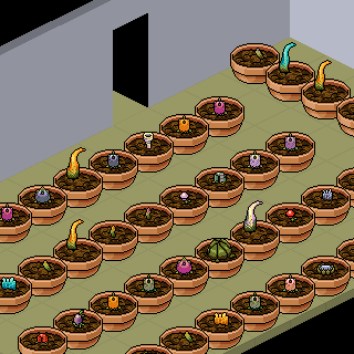 Photo by Impate