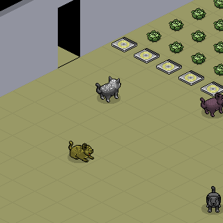 Photo by Impate