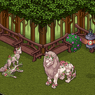 Photo by @@jean