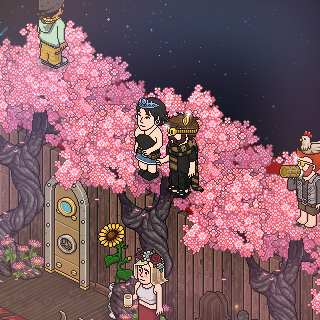Photo by JacySalv
