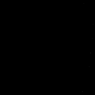 Photo by Negao