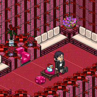 Photo by Hallems