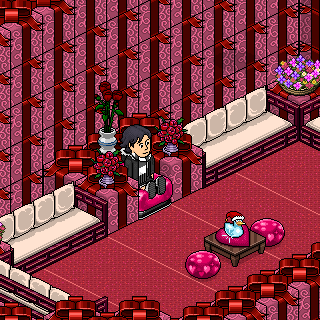 Photo by Hallems