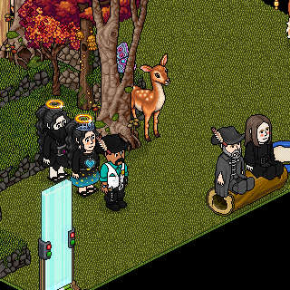 Photo by raulzgamer
