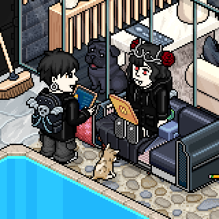 Photo by Inallei