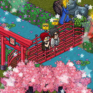 Photo by :Haru,