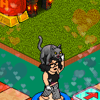 Photo by Paollinha098