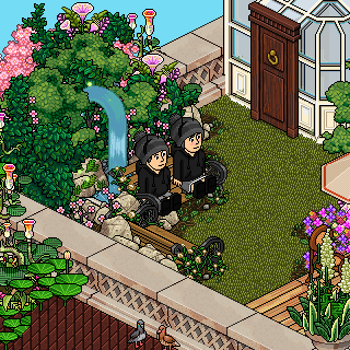 Photo by Mha