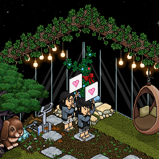 Photo by Mha