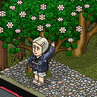 Photo by -Crackinho