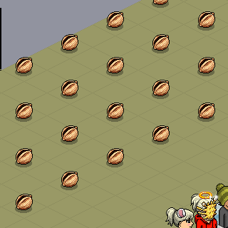 Photo by Sogz