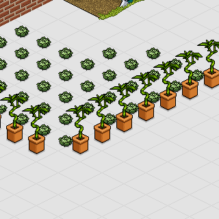 Photo by Devorei