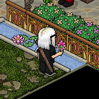 Photo by -Lulys0