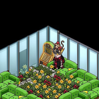 Photo by habbohotel38