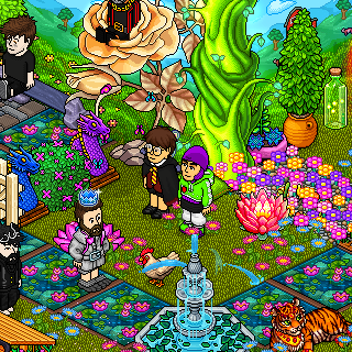 Photo by Hatez