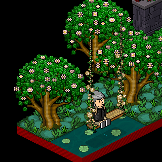 Photo by Dinhoengen82..