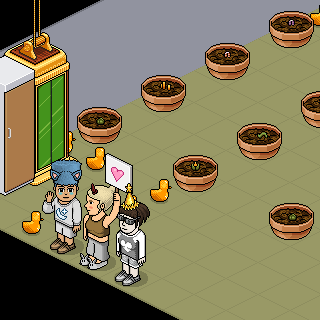 Photo by Dinhoengen82..