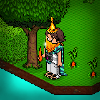 Photo by Gatinha