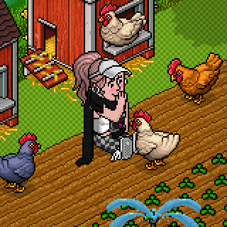 Photo by Gatinha