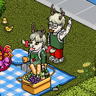 Photo by Gatinha