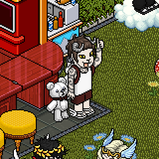 Photo by Gatinha