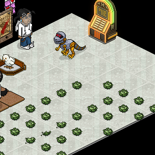 Photo by gyrl