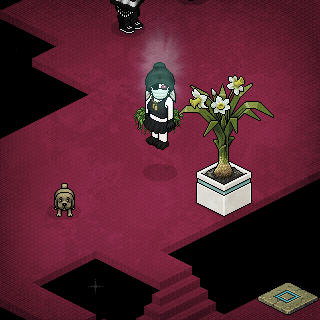 Photo by noremi