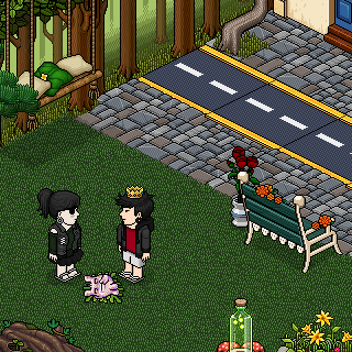 Photo by BrunoHBPTN
