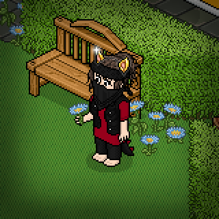 Photo by Reticulada