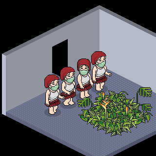 Photo by manumenezesET