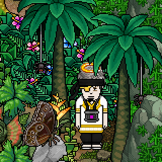 Photo by blackount