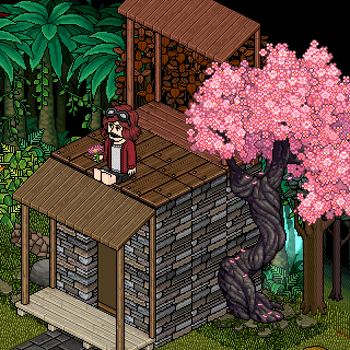 Photo by letye