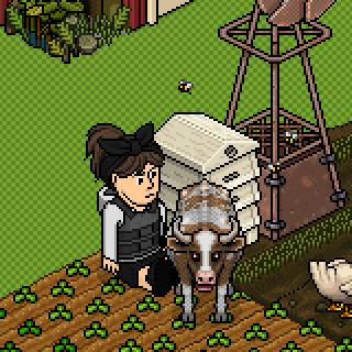 Photo by :Aurorinha