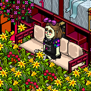 Photo by :Aurorinha