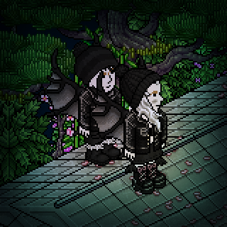 Photo by !Morgana