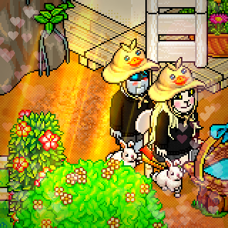 Photo by Himari_.