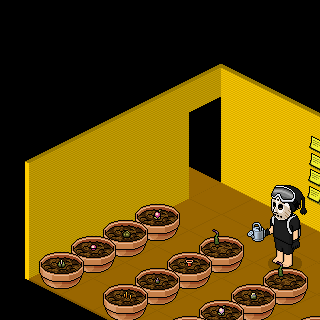 Photo by Yoshii...