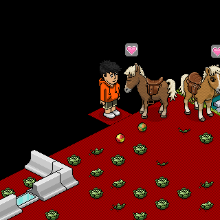 Photo by Wee