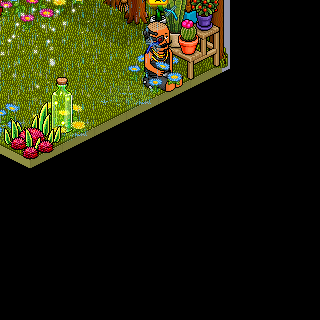 Photo by Habbo_Futebol