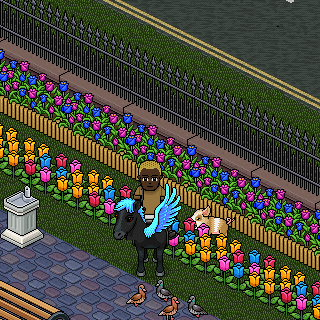 Photo by Tumblavel