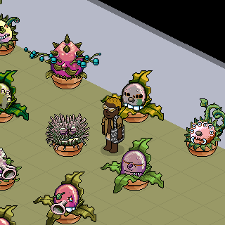 Photo by Tumblavel