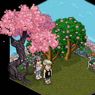Photo by ,JackRadom