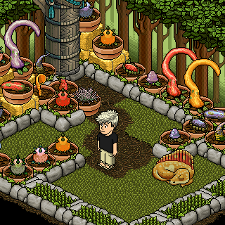 Photo by ,JackRadom