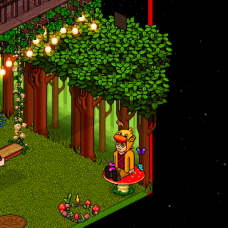 Photo by HabboFernando0