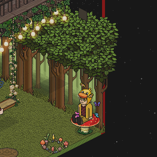 Photo by HabboFernando0