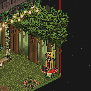 Photo by HabboFernando0
