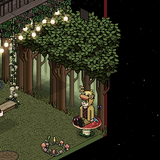 Photo by HabboFernando0