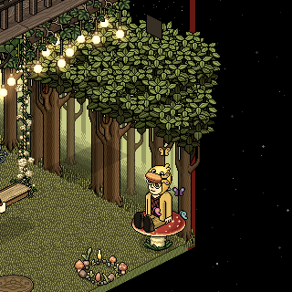 Photo by HabboFernando0