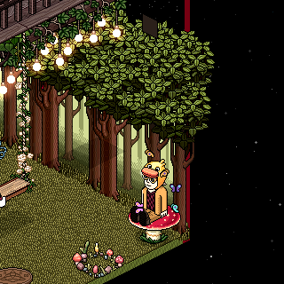 Photo by HabboFernando0